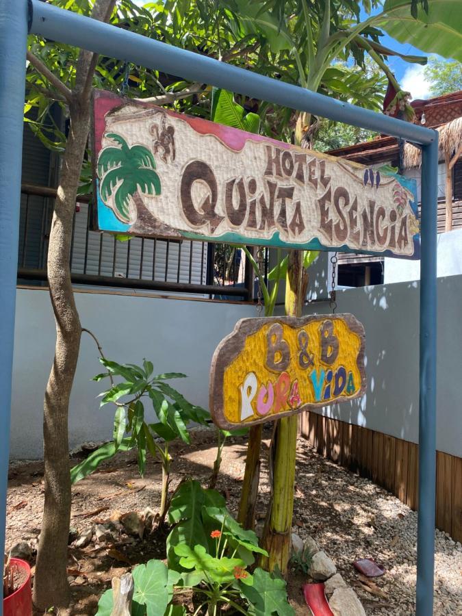 Quinta Esencia Bed & Breakfast Brasilito Bagian luar foto