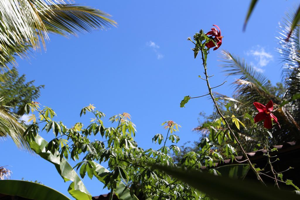 Quinta Esencia Bed & Breakfast Brasilito Bagian luar foto