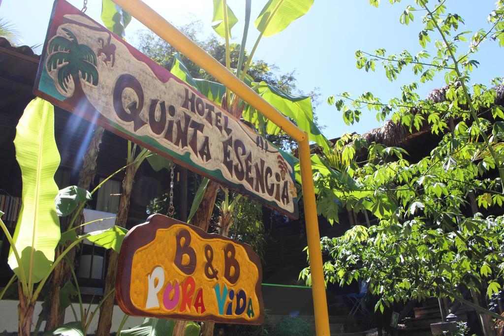 Quinta Esencia Bed & Breakfast Brasilito Bagian luar foto